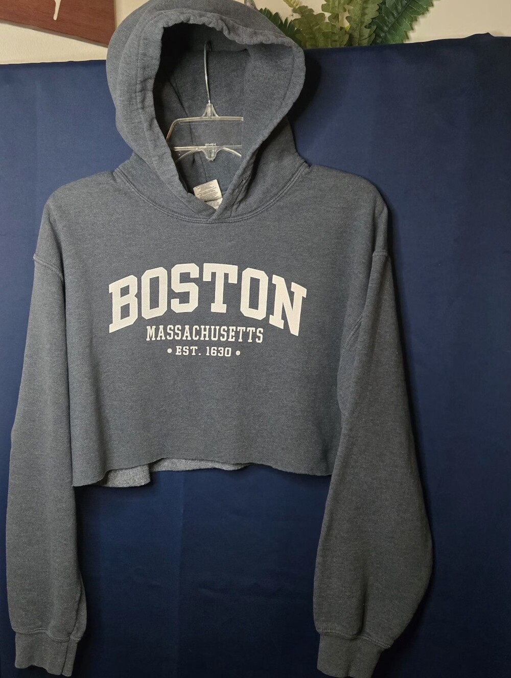 Boston Graphic Cropped Hoodie MEDIUM